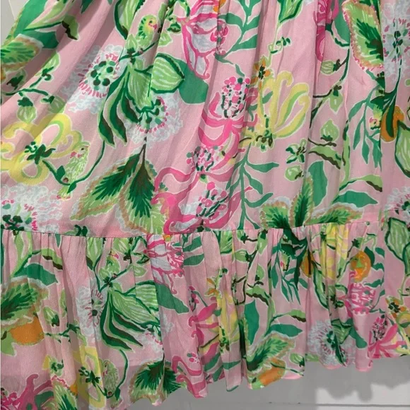 NWT Lilly Pulitzer Ellielynn Long Sleeve Dress - Picture 10 of 15